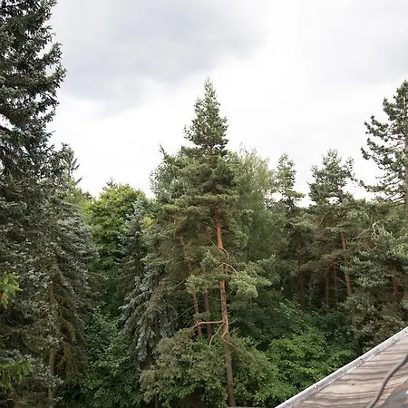 招待所 Augustusberg 3*