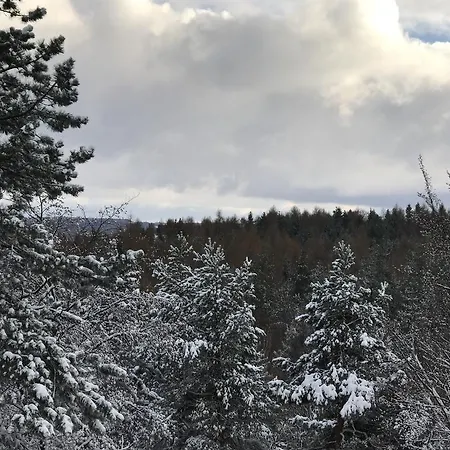 Augustusberg 招待所 3*