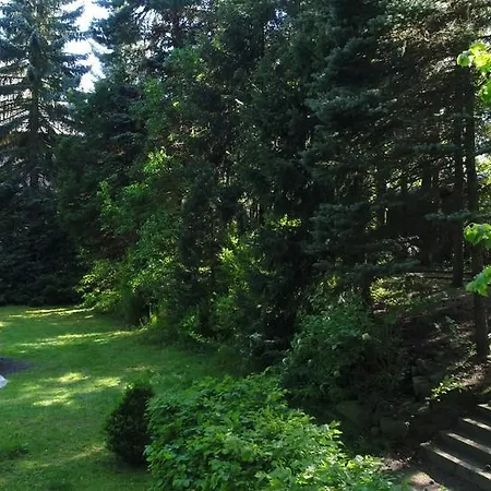 Guest house Augustusberg 3*