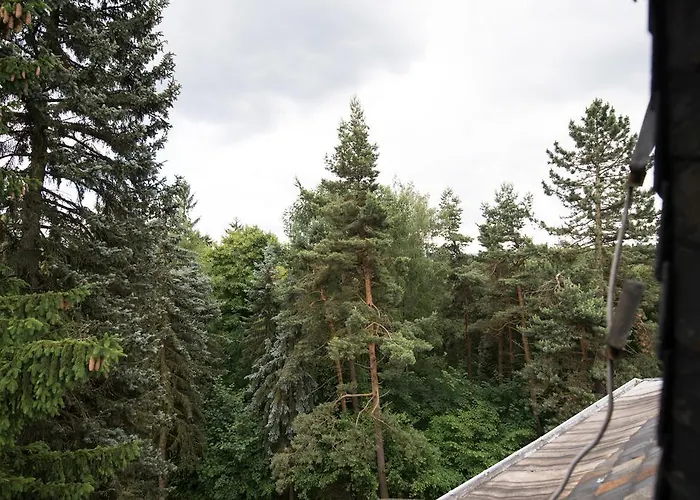 Гостевой дом Augustusberg 3*