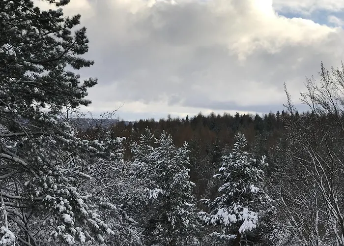 Augustusberg Гостевой дом 3*